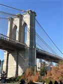 IMG_0378-7